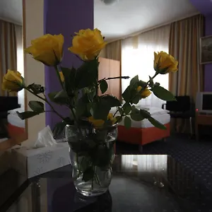 carlton-hotel.hotelsheidelberg.net/