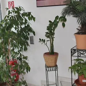 3* Hotel Frankfurt